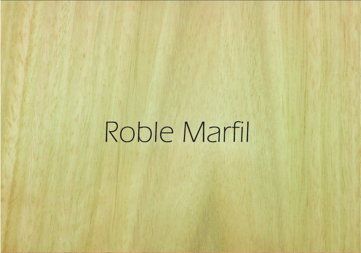 Roble Marfil
