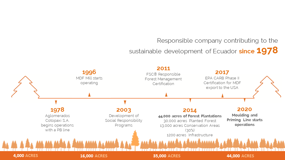 Timeline History