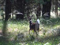 Áreas de conservación