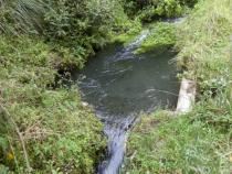 Cuencas de agua